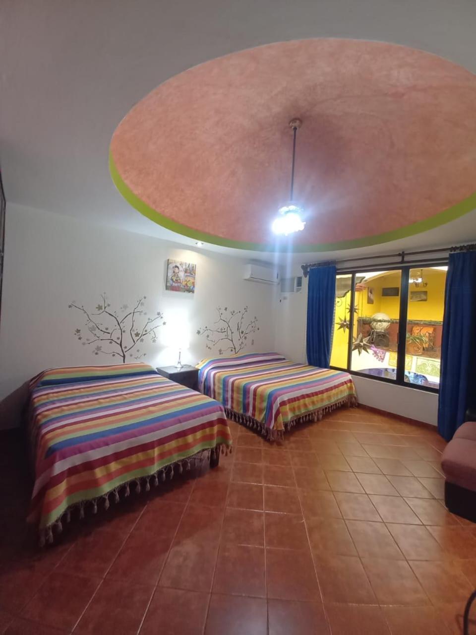 Hotel Dona Alicia Oaxaca Dış mekan fotoğraf